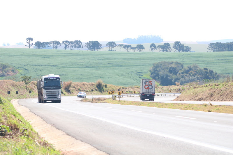 rodovia PR 445
