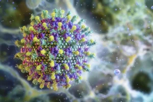 virus-nipah-e1769515319494