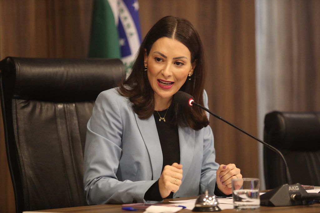 MABEL PROTOCOLA PROJETO EM PRIMEIRA SESSAO DA ALEP