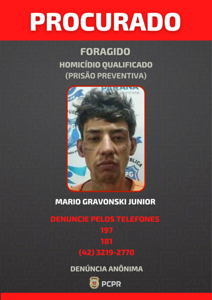 PC_X_Mario_Gravonski