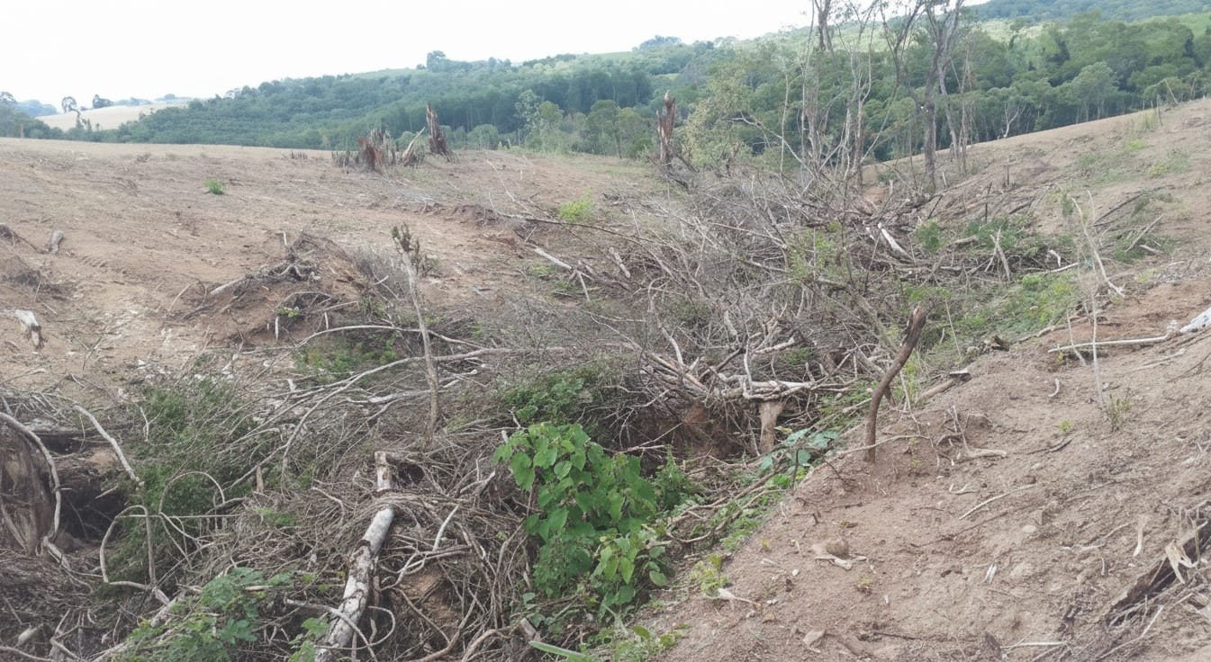 Propriedade_Tibagi_embargada (2)