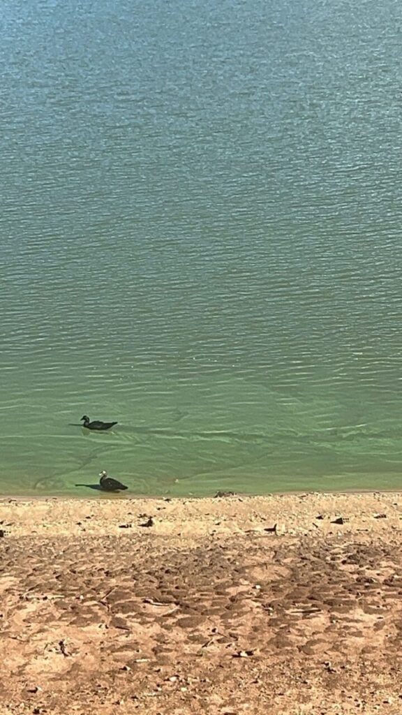 Nível da represa dos Alagados está baixo, mostram imagens