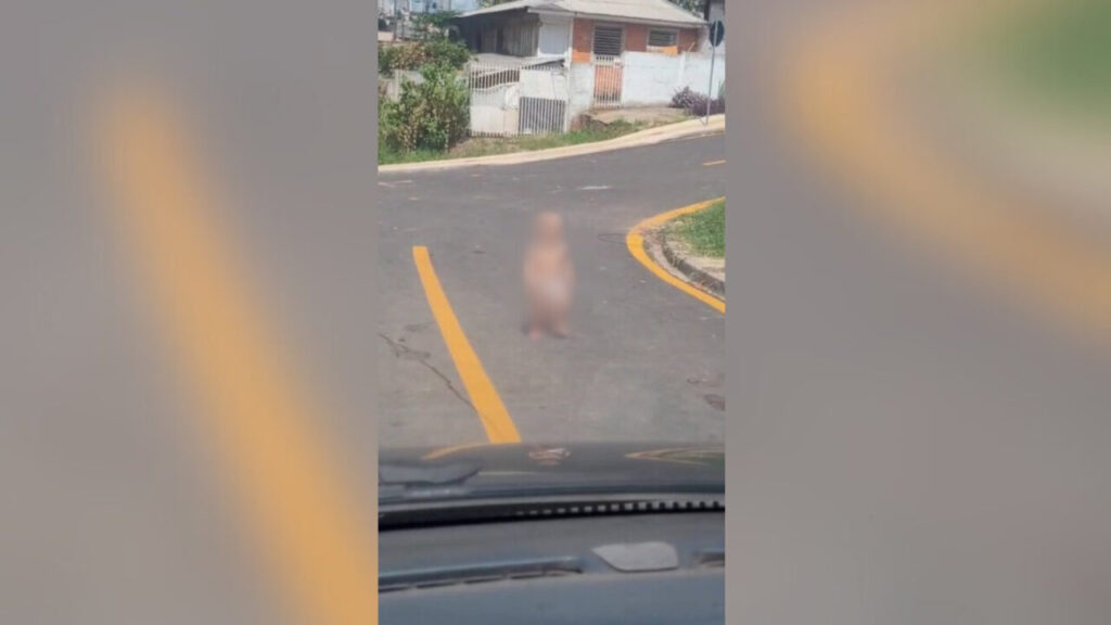 print criança andando sozinha