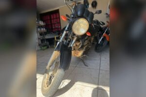 EDIÇÃO IMAGENS LEVI (7)