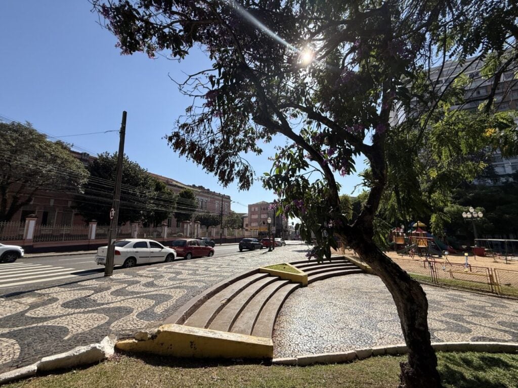 Sol aparece em meio aos galhos de uma árvore em praça no Centro de Ponta Grossa