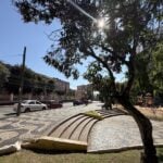 Sol aparece em meio aos galhos de uma árvore em praça no Centro de Ponta Grossa