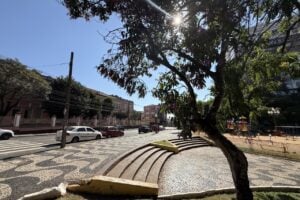 Sol aparece em meio aos galhos de uma árvore em praça no Centro de Ponta Grossa