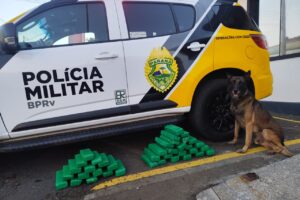 policia apreende mais de 20 kg de maconha na br-277