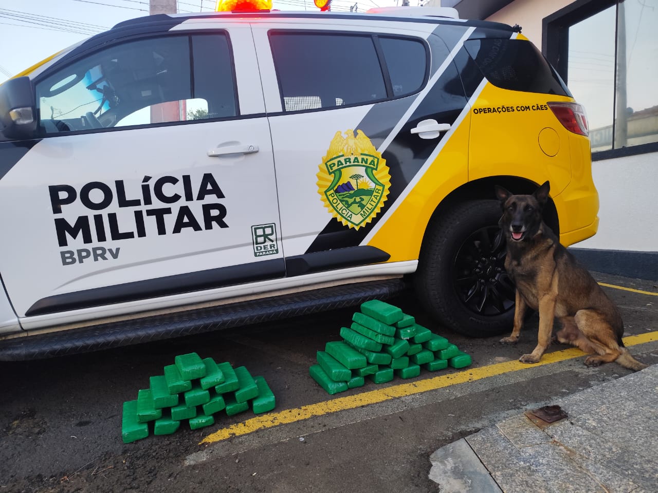 policia apreende mais de 20 kg de maconha na br-277