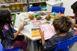 escola_estadual_indigena_araju_pora