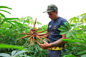 Trabalhador rural atuando em plantação, em foto ilustrativa da matéria sobre resultados da ATeG do Sistema FAEP