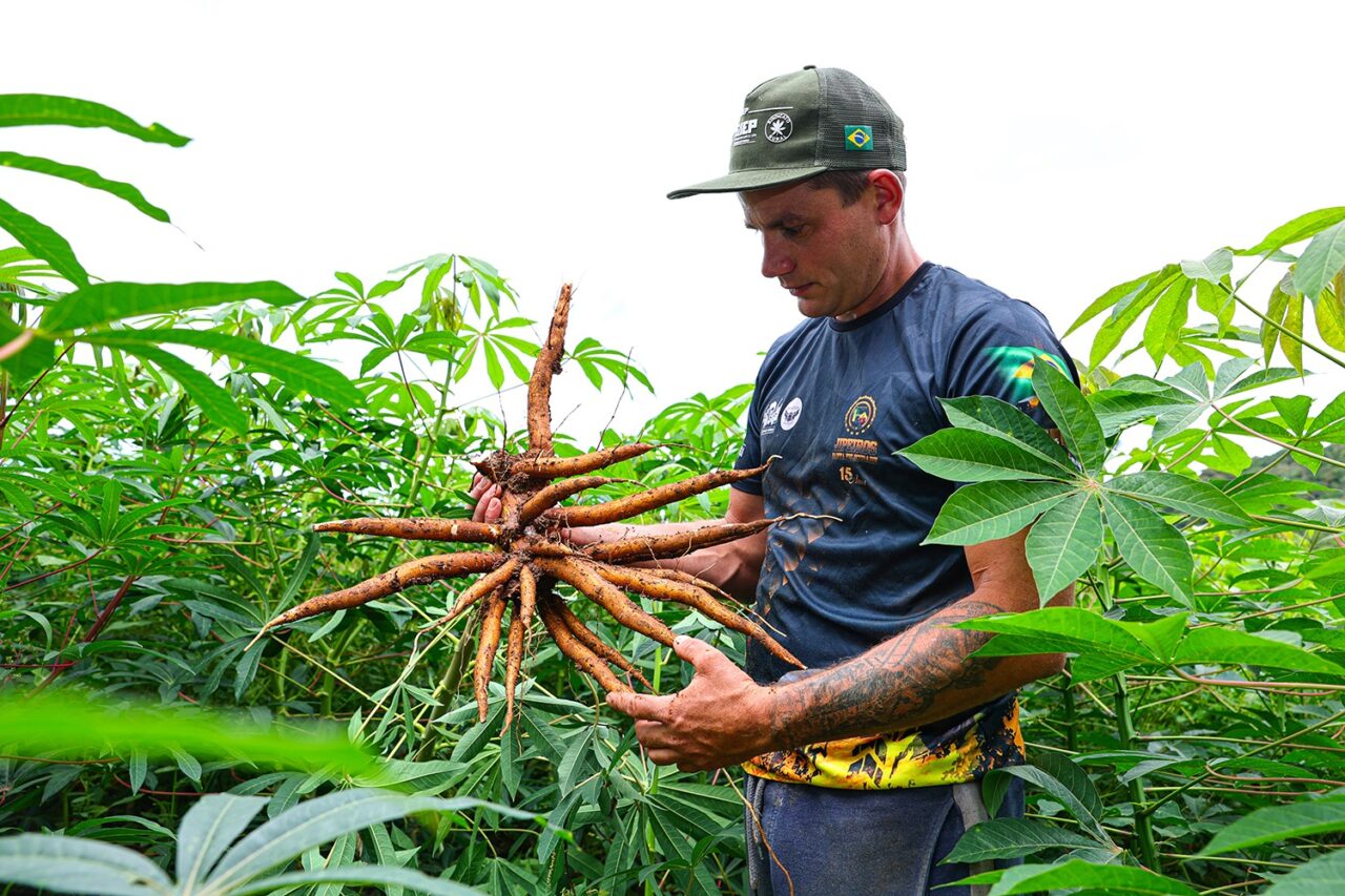 Trabalhador rural atuando em plantação, em foto ilustrativa da matéria sobre resultados da ATeG do Sistema FAEP