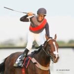 Cavalo do ano