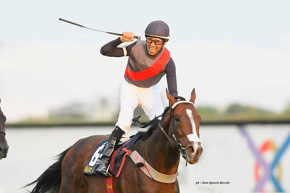 Cavalo do ano