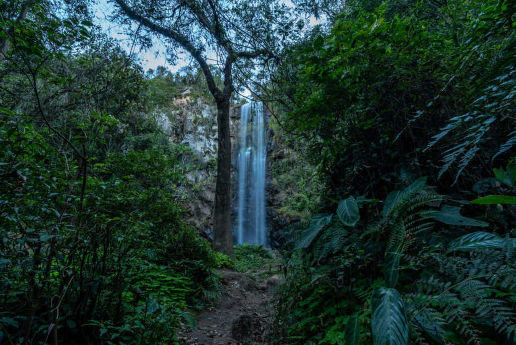 _DSC0195