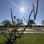 Foto de dia ensolarado ilustra a Previsão do Tempo em Ponta Grossa