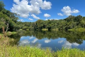 LagoanareadeamortecimentodaRebiodasPerobasondeoHydrometrafoiencontrado