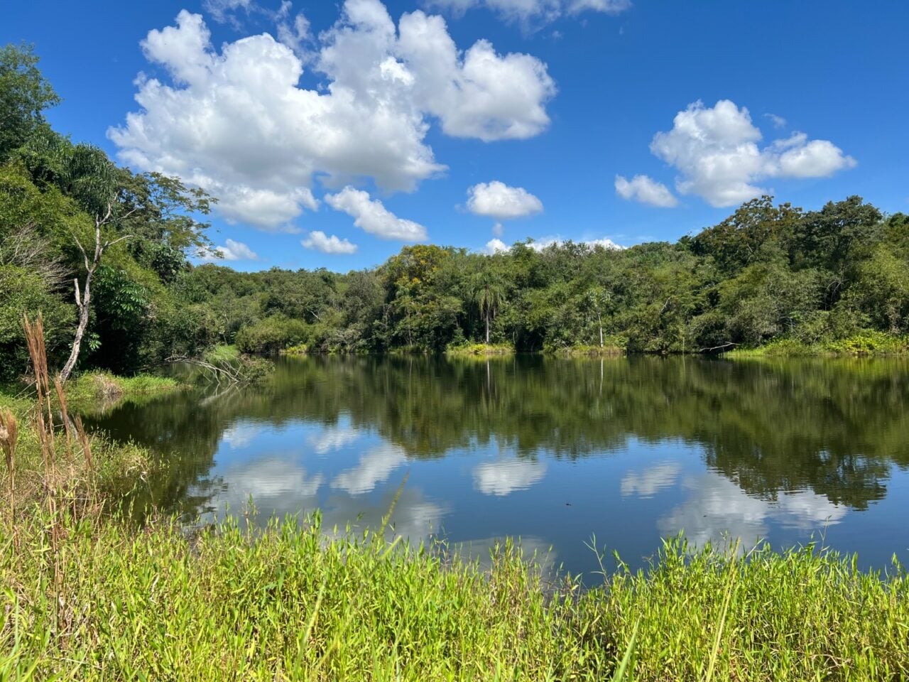 LagoanareadeamortecimentodaRebiodasPerobasondeoHydrometrafoiencontrado