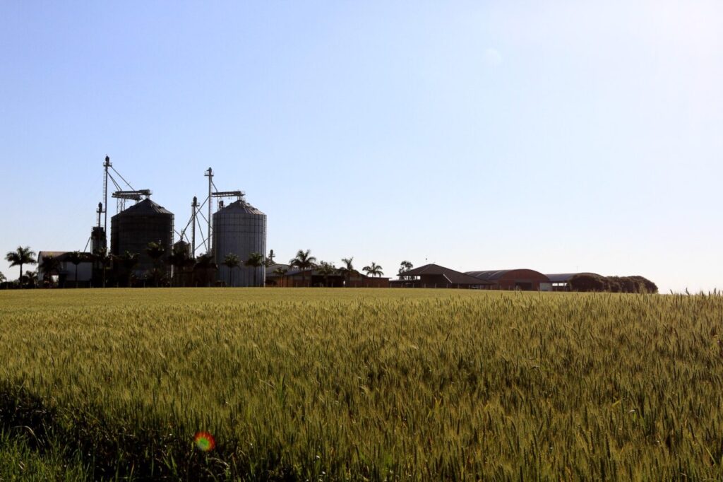 Imagem de um campo com silos agroindustriais em segundo plano e céu azul ao fundo