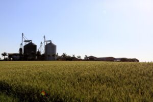 Imagem de um campo com silos agroindustriais em segundo plano e céu azul ao fundo
