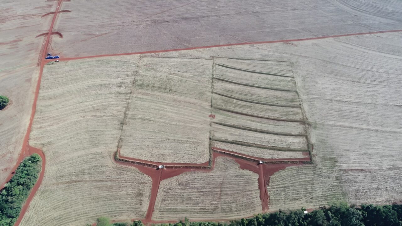Paraná reduz perda de água e solo em lavouras