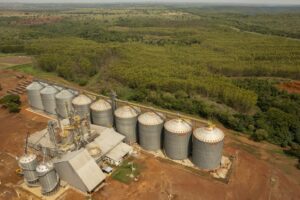 Há uma década no Tocantins, Frísia conta com entrepostos em Paraíso (foto) e Dois Irmãos, além de escritório administrativo em Palmas.