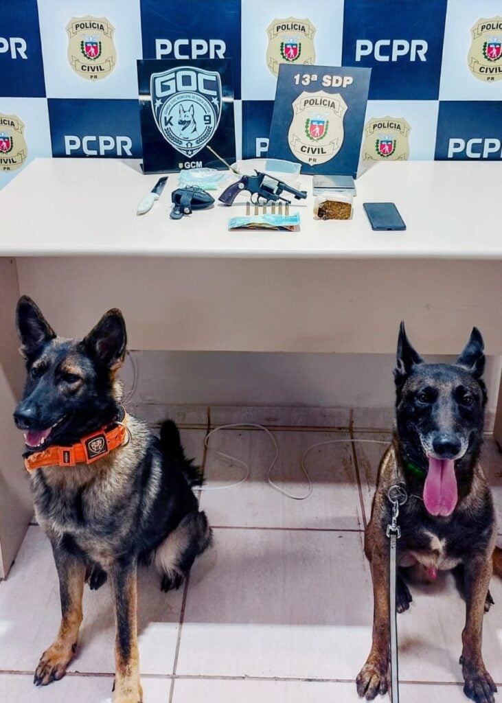drogas, arma, munição e cães