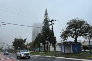 cerração e neblina no céu de ponta grossa ilustram previsão do tempo