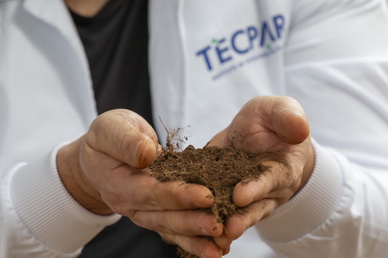 tecpar_-_projeto_solo_vivo_1