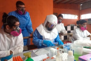 CD_x_paraná confirma hantavirus em PG