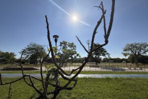 Foto de local ensolarado ilustra previsão do tempo em Ponta Grossa