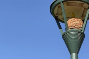 Poste ilustra a previsão do tempo em pg
