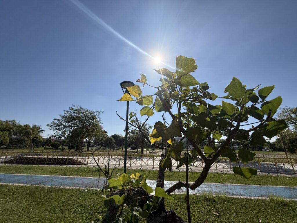 Foto do Parque Ambiental Ilustra Previsão do tempo