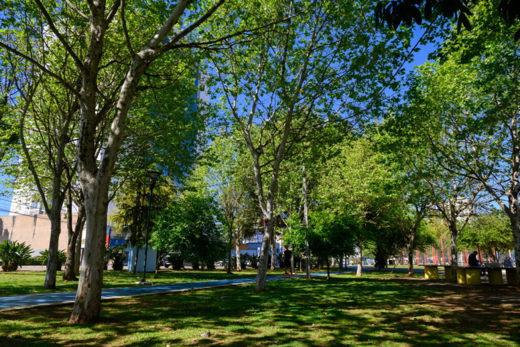 Parque Ambiental Governador Manoel Ribas
