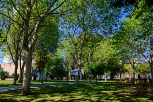 Parque Ambiental Governador Manoel Ribas