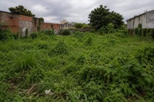 Limpeza de terrenos em ponta grossa