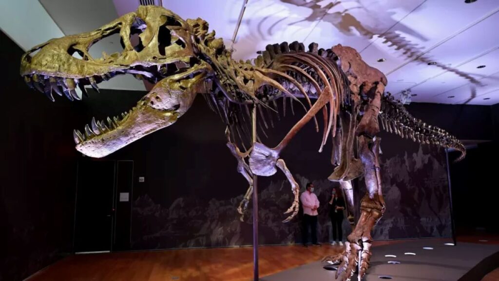 mistério braço do t-rex