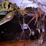 mistério braço do t-rex