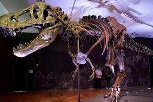 mistério braço do t-rex