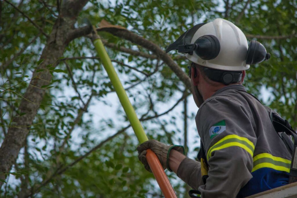 mutiro_podas_e_espaadores_em_piraquara0182