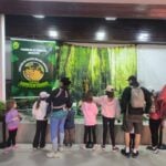 CD_x_animais empalhados Vila Velha