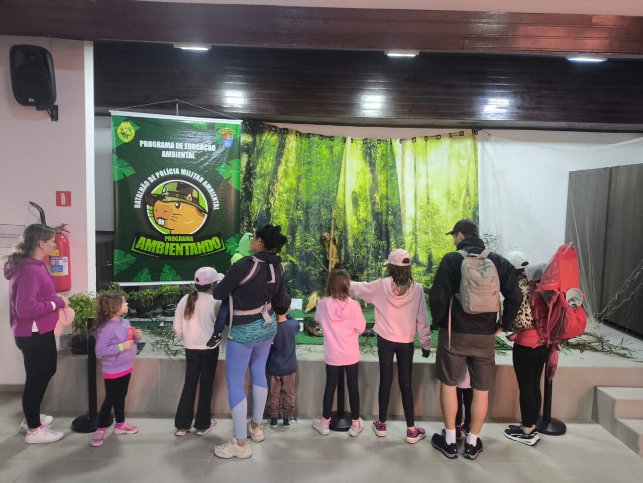 CD_x_animais empalhados Vila Velha
