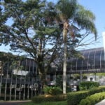 Câmara de Ponta Grossa_José Aldinan (1)