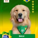 cães em ábum de figurinha