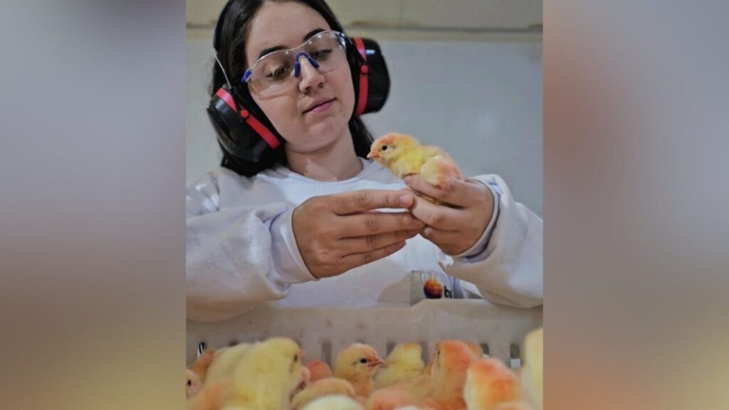 FOTO EDITADA