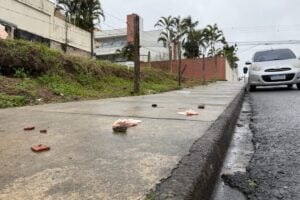 HOMICIDIO_PLACA_BORRADA