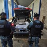 Equipe do Grupamento de Operações Especiais