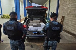 Equipe do Grupamento de Operações Especiais