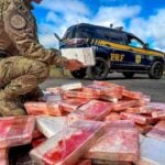 Apreensão de drogas pela PRF na BR-277, região de Porto Amazonas