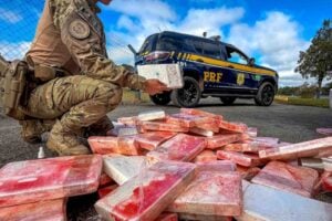 Apreensão de drogas pela PRF na BR-277, região de Porto Amazonas